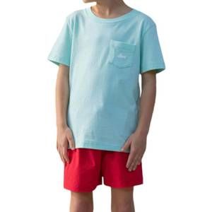 NEW SALTWATER BOYS CO. snapper pocket tee in mint